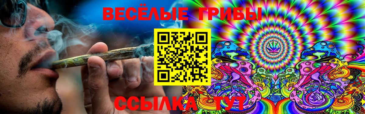 Галлюциногенные грибы ЛСД  Вход с VPN  Йошкар-Ола 